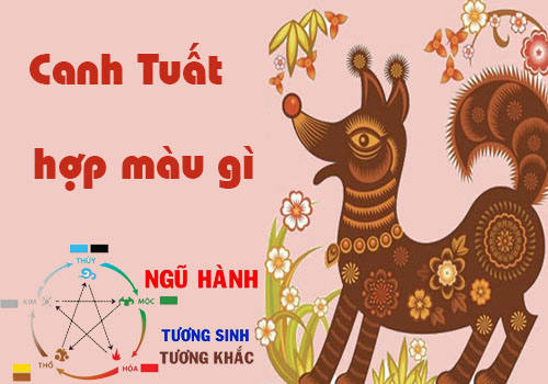 Tuoi-Canh-Tuat-sinh-nam-1970-hop-mau-son-gi